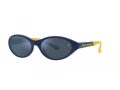 Polo Sonnenbrille PH 4197U 588655