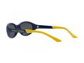 Polo Sonnenbrille PH 4197U 588655