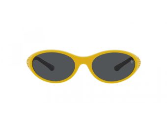Polo Sonnenbrille PH 4197U 596187