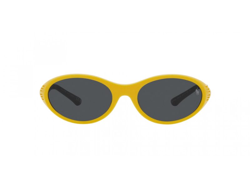 Polo Sonnenbrille PH 4197U 596187