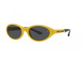 Polo Sonnenbrille PH 4197U 596187