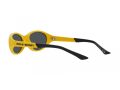 Polo Sonnenbrille PH 4197U 596187