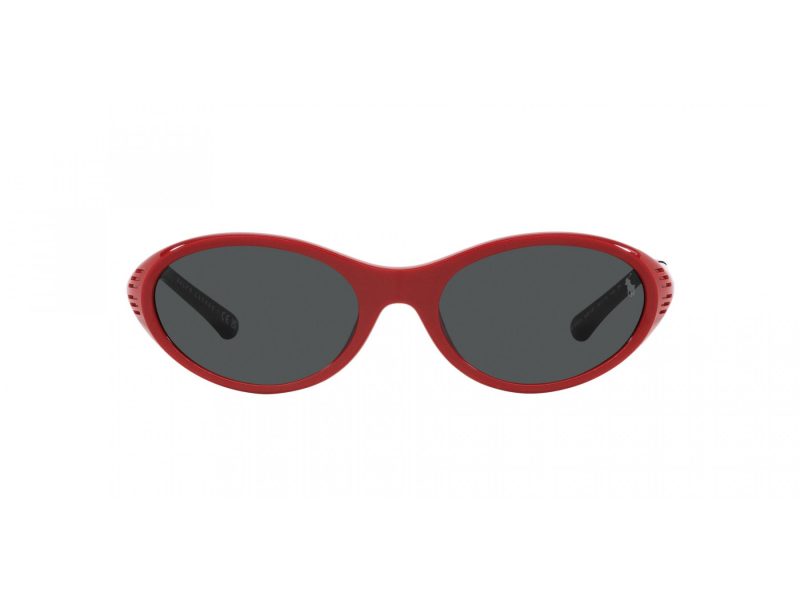 Polo Sonnenbrille PH 4197U 609187