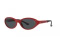 Polo Sonnenbrille PH 4197U 609187