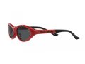 Polo Sonnenbrille PH 4197U 609187