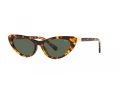 Polo Sonnenbrille PH 4199U 607871