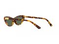 Polo Sonnenbrille PH 4199U 607871