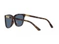 Polo Sonnenbrille PH 4201U 500380