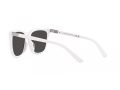 Polo Sonnenbrille PH 4201U 554487