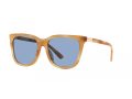 Polo Sonnenbrille PH 4201U 607972