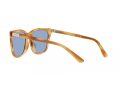 Polo Sonnenbrille PH 4201U 607972