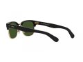 Polo Sonnenbrille PH 4202 500171