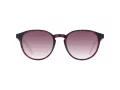 Pepe Jeans Sonnenbrille PJ 7430 106
