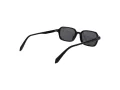 Polaroid Sonnenbrille PLD 4219/S 807/M9