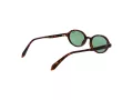 Polaroid Sonnenbrille PLD 4220/S WR9/UC