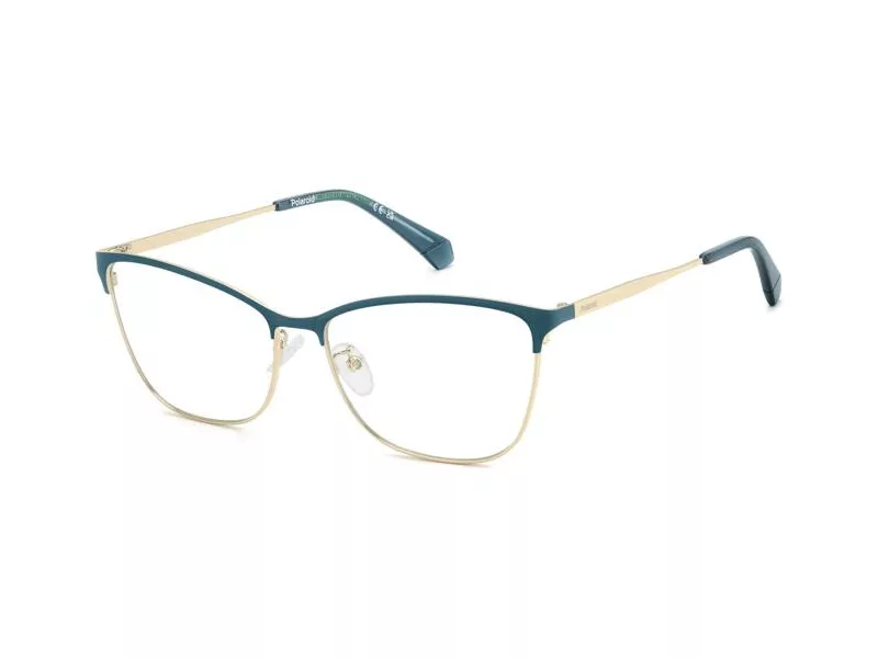 Polaroid Brillen PLD D584/G 821