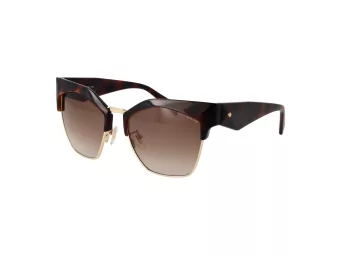 Police Sonnenbrille PL N59 01AY