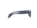 Polo Brillen PP 8543U 5620