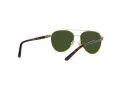 Polo Sonnenbrille PP 9001 9189/71