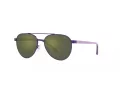 Polo Sonnenbrille PP 9001 94596R