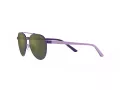 Polo Sonnenbrille PP 9001 94596R