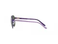 Polo Sonnenbrille PP 9001 94596R