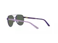 Polo Sonnenbrille PP 9001 94596R