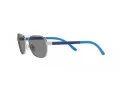 Polo Sonnenbrille PP 9002 939287