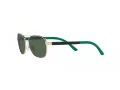Polo Sonnenbrille PP 9002 942571