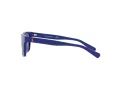 Polo Sonnenbrille PP 9504U 5235/80