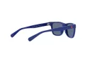 Polo Sonnenbrille PP 9504U 5235/80