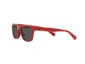 Polo Sonnenbrille PP 9504U 5257/87