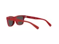 Polo Sonnenbrille PP 9504U 5257/87