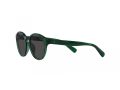 Polo Sonnenbrille PP 9505U 608487