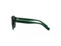 Polo Sonnenbrille PP 9505U 608487