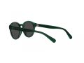 Polo Sonnenbrille PP 9505U 608487