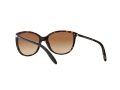 Ralph Ra5160 Sonnenbrille RA 5160 510/13