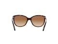 Ralph Ra5160 Sonnenbrille RA 5160 510/13