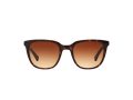 Ralph Sonnenbrille RA 5206 137813