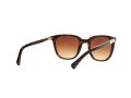 Ralph Sonnenbrille RA 5206 137813