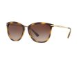 Ralph Sonnenbrille RA 5245 500313