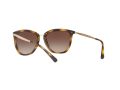 Ralph Sonnenbrille RA 5245 500313
