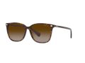 Ralph Vvcv Sonnenbrille RA 5293 50033B