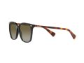 Ralph Vvcv Sonnenbrille RA 5293 60378E