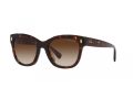 Ralph Sonnenbrille RA 5301U 500313