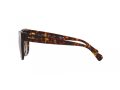 Ralph Sonnenbrille RA 5301U 500313