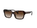 Ralph Sonnenbrille RA 5312U 500313