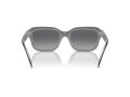Ralph Sonnenbrille RA 5312U 6066T3