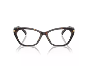 Ralph Brillen RA 7161U 5003