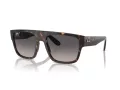 Ray-Ban Drifter Sonnenbrille RB 0360S 902/M3